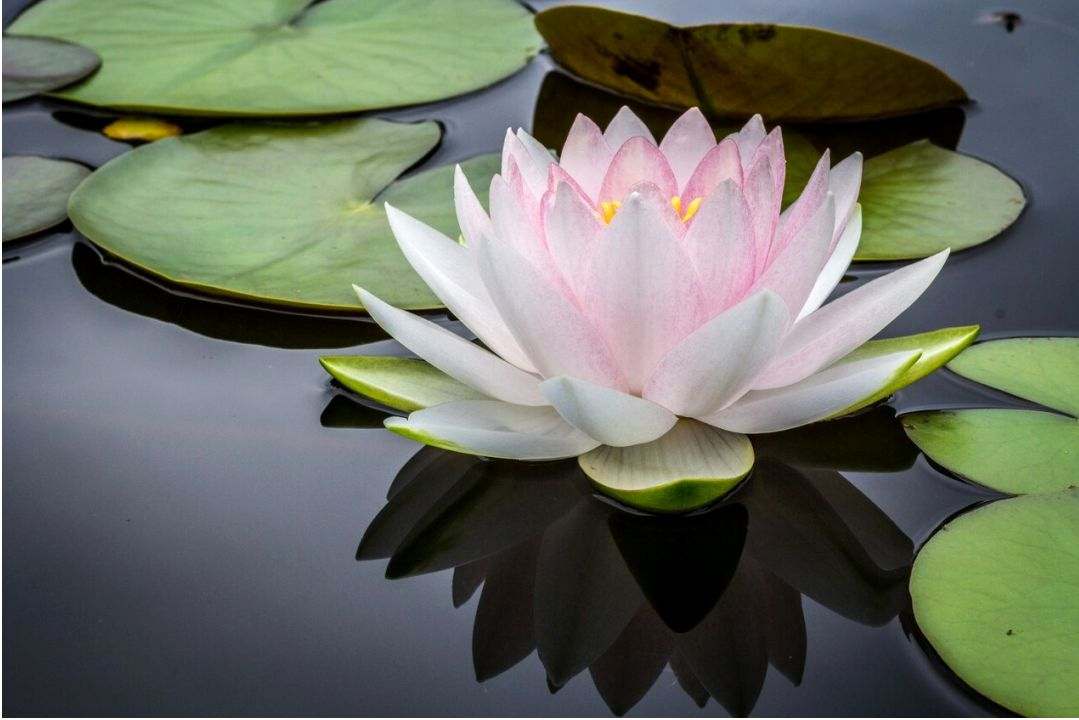 Vinyasa Intensiv